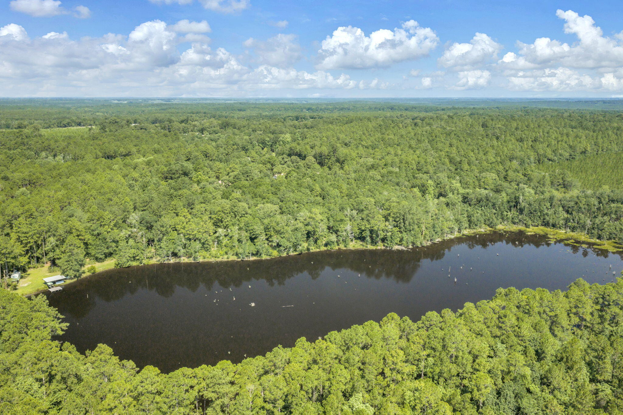 82 Acres 4 Flags Road Laurel Hill, FL 32567 - Photo 23 of 45 19-web-or-mls-DJI_20260702102520_0533_D