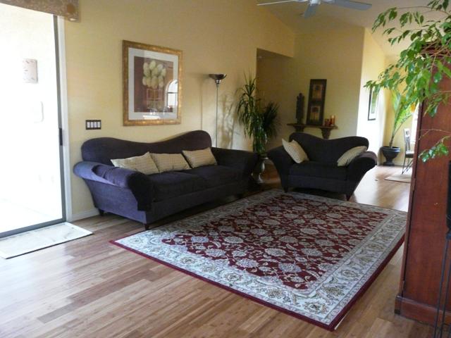 519 East Devon Drive Gilbert, AZ 85296 - Photo 4 of 18 LIVING 2