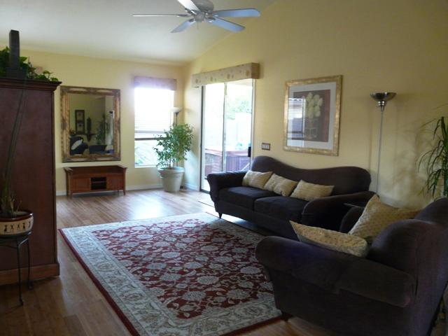 519 East Devon Drive Gilbert, AZ 85296 - Photo 10 of 18 LIVING