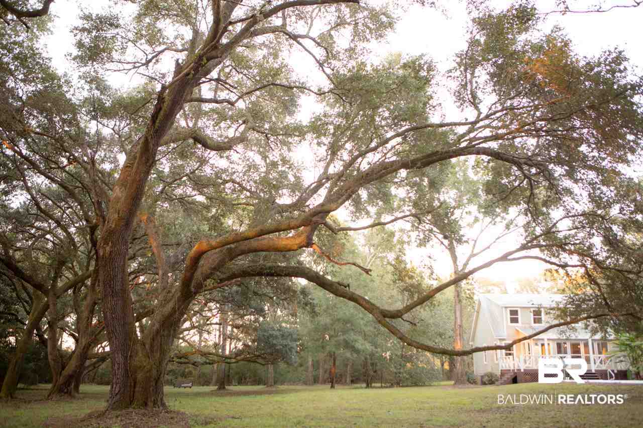 16683 County Road 26 Foley, AL 36535 - Photo 14 of 31
