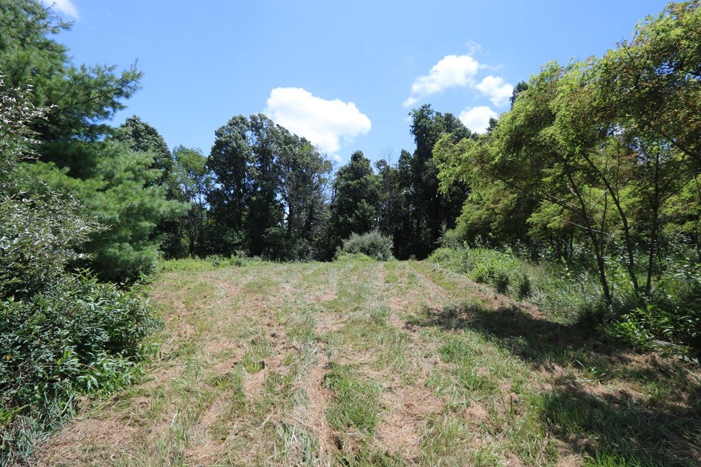 Tbd Southwest Tbd Sw Black Ridge Road Floyd, VA 24091 - Photo 13 of 22 Gallery Image 13
