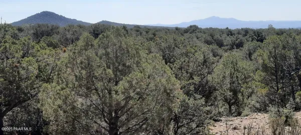 a view of a mountain range with trees in the background