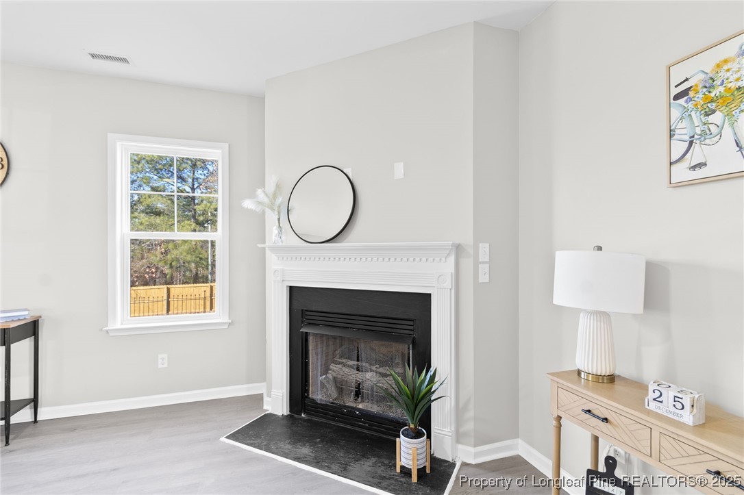 516 Heathrow Drive Spring Lake, NC 28390 - Photo 10 of 42 a living room with furniture and a fireplace