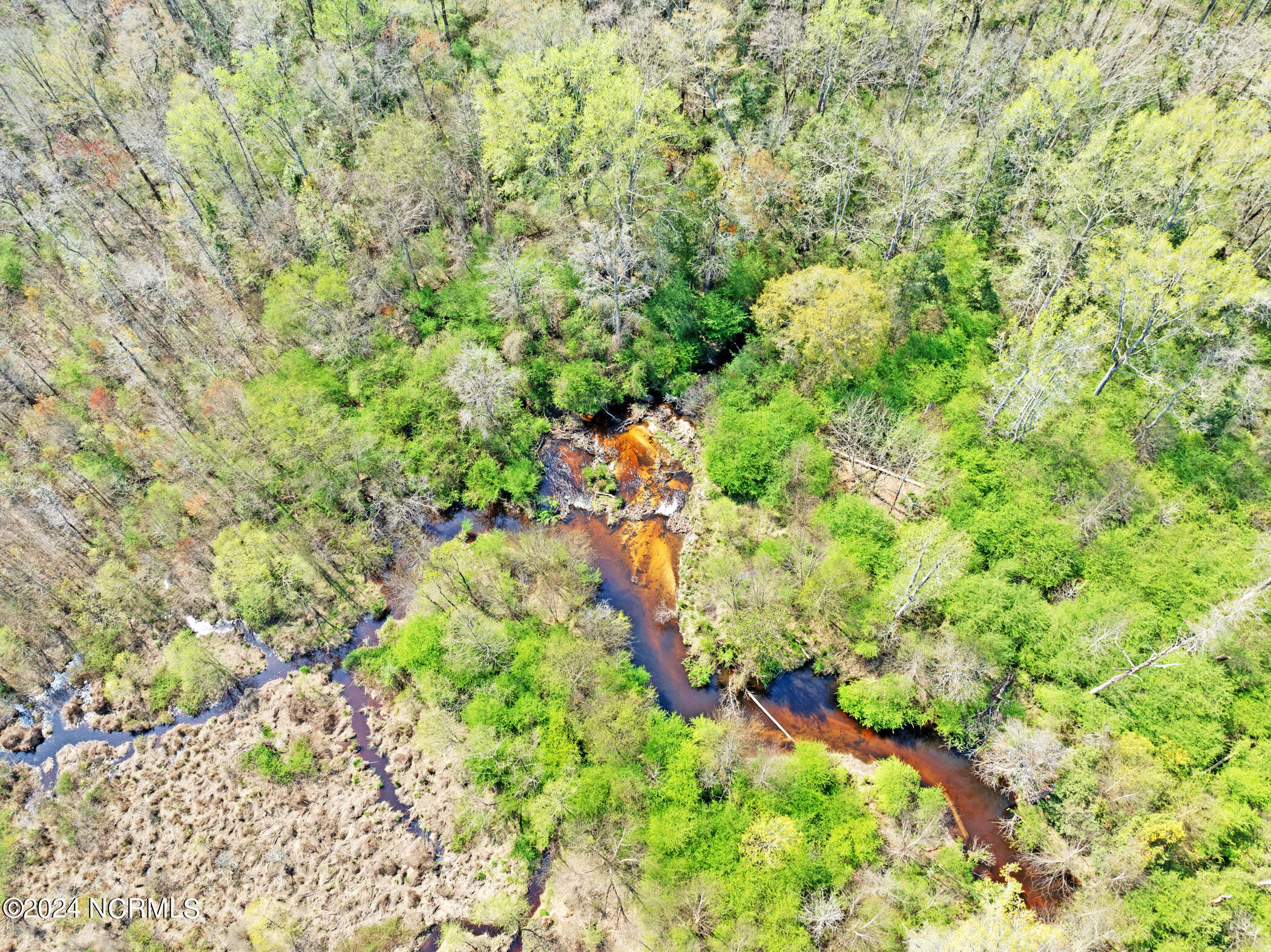 1649 Sandhill Game Management Road Rockingham, NC 28379 - Photo 11 of 23 DJI_0197
