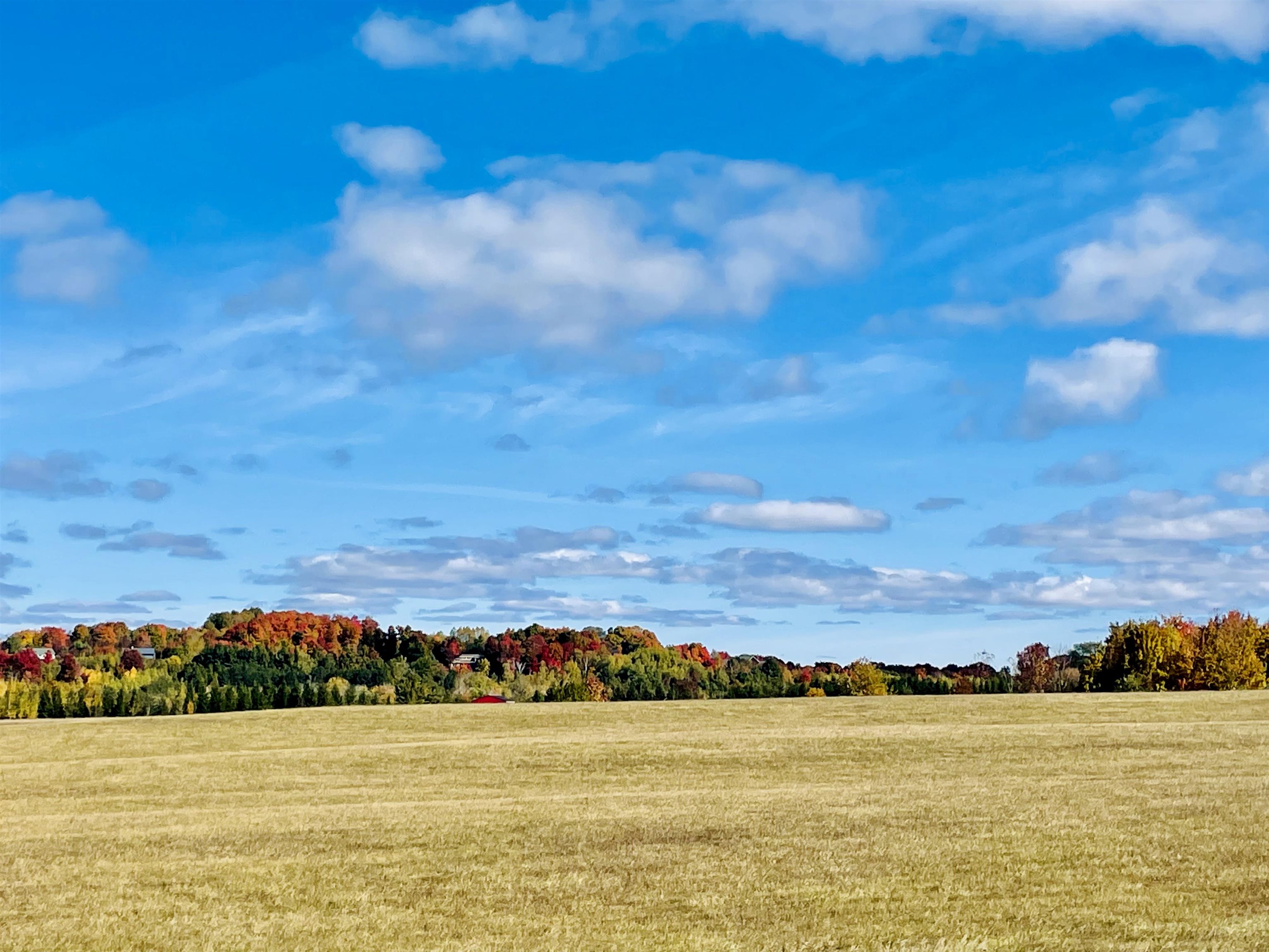 0 Zawora Road Kewadin, MI 49648 - Photo 6 of 12