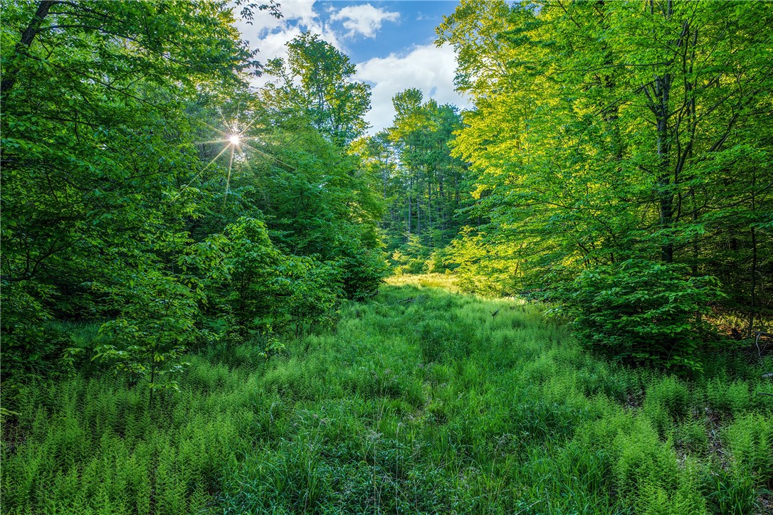19-22 25 Frank Slawson Road Oneonta, NY 13820 - Photo 6 of 30