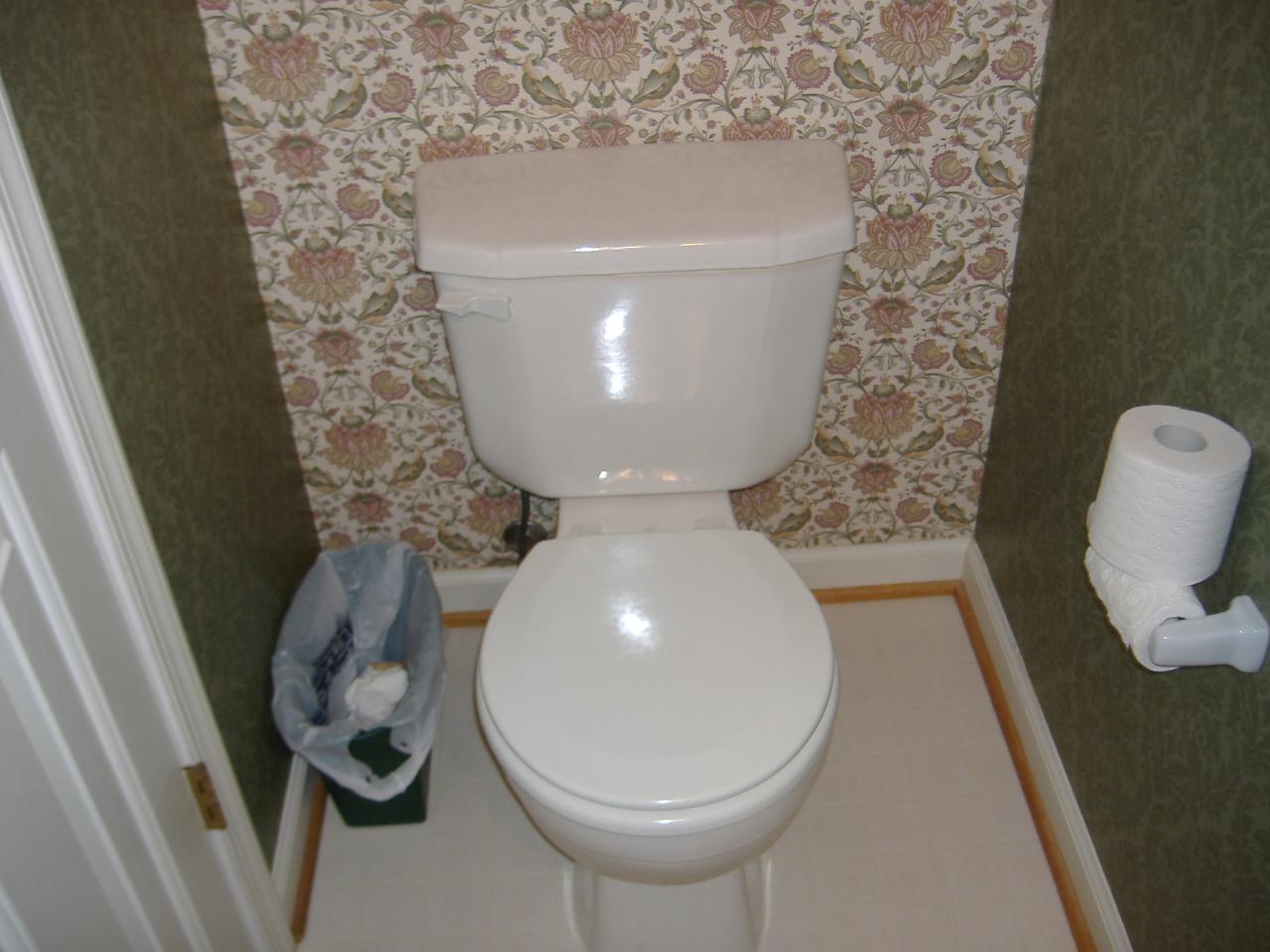 1420 Mill Iron Road Goodview, VA 24095 - Photo 12 of 26 a bathroom with a toilet and a sink
