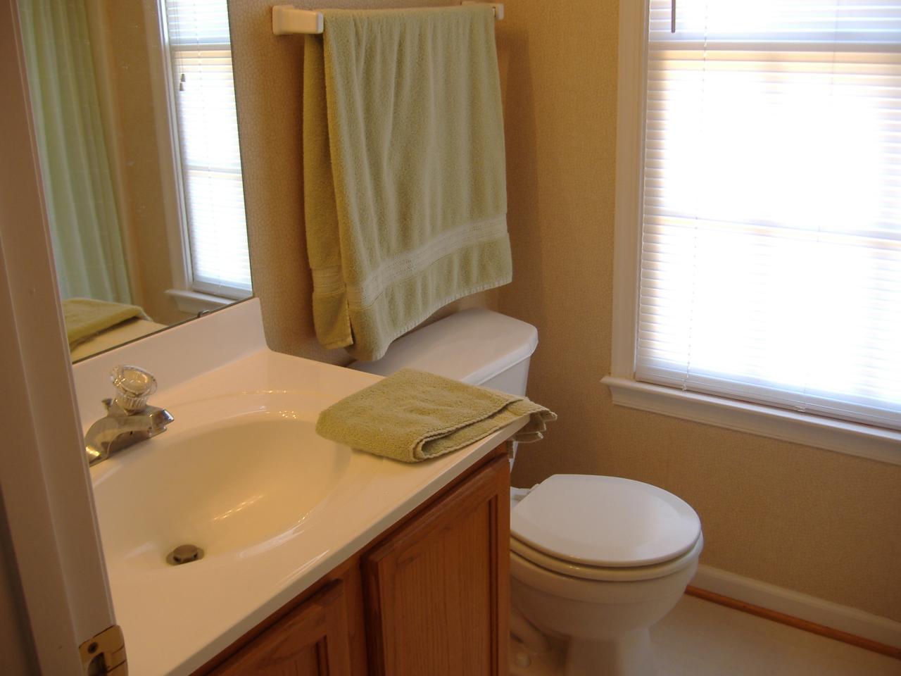 1420 Mill Iron Road Goodview, VA 24095 - Photo 13 of 26 a bathroom with a sink a toilet and tub