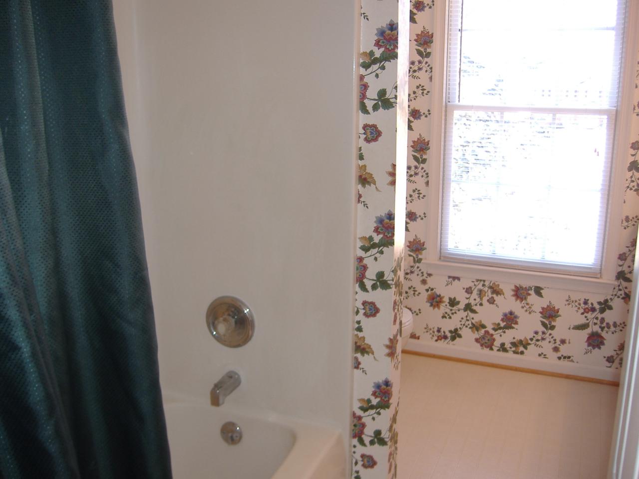 1420 Mill Iron Road Goodview, VA 24095 - Photo 16 of 26 a bathroom with a bathtub and a shower