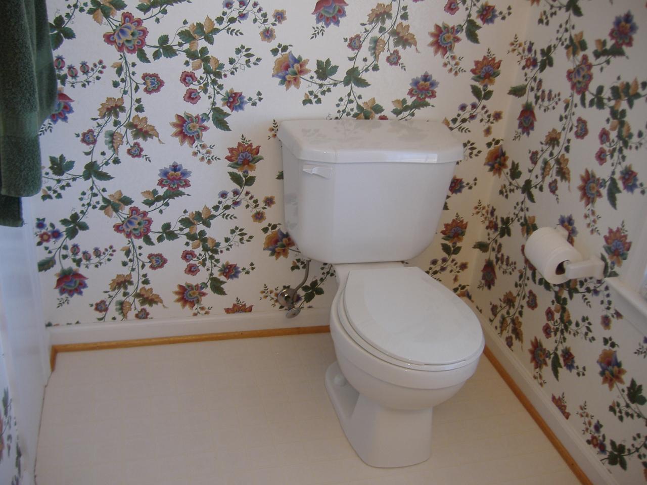 1420 Mill Iron Road Goodview, VA 24095 - Photo 17 of 26 a white toilet sitting next to a shower curtain