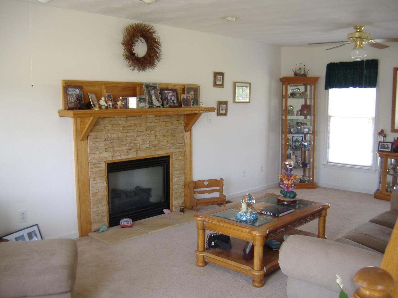 1420 Mill Iron Road Goodview, VA 24095 - Photo 3 of 26 a living room with furniture and a fireplace