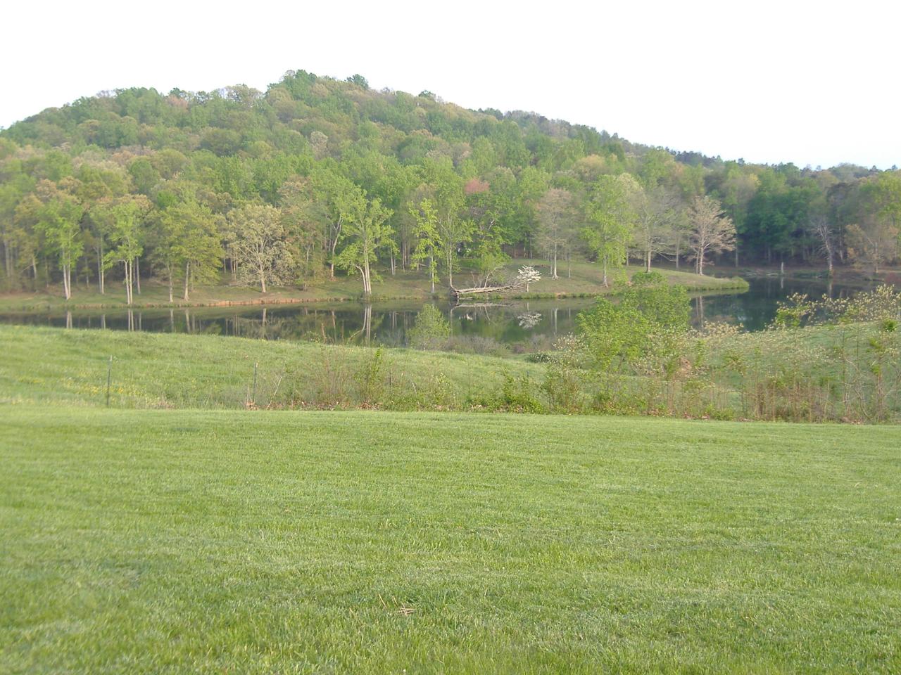 1420 Mill Iron Road Goodview, VA 24095 - Photo 8 of 26 a view of a lake view