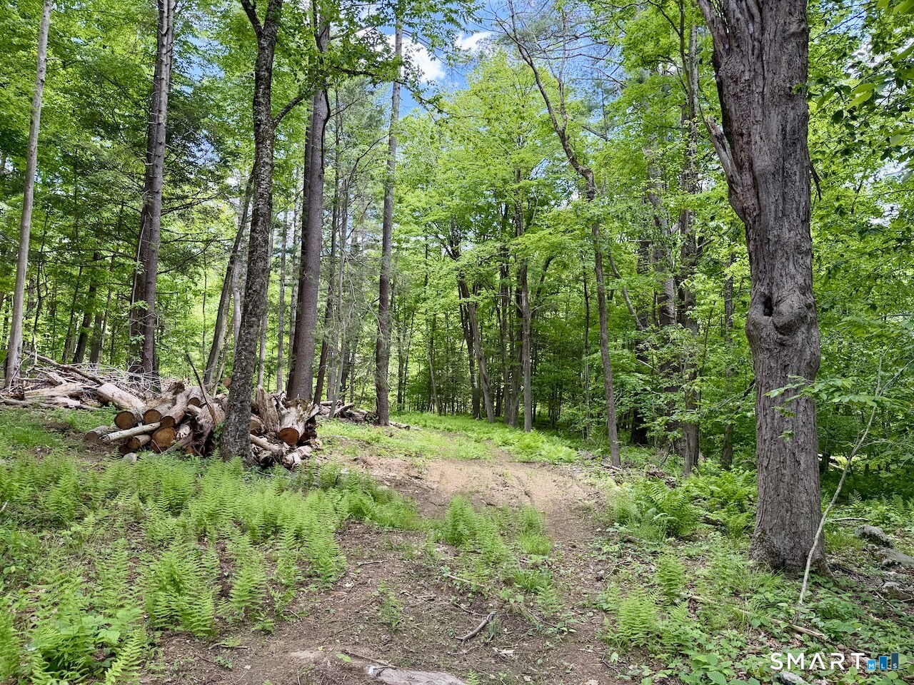 0 Great Hollow Road West Cornwall, CT 06796 - Photo 4 of 10