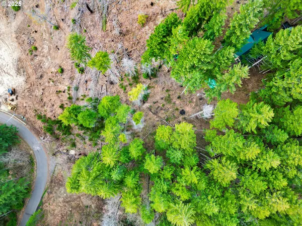 $190,000 | 110 Guy Moore Road, Unit 2, Detroit, OR 97342