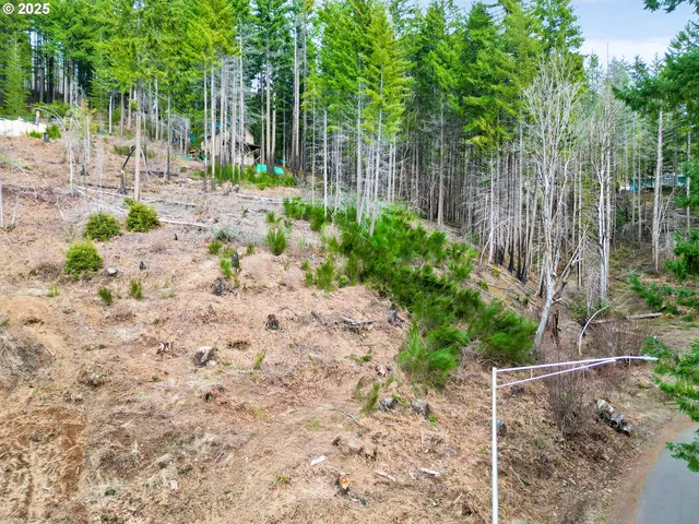 a view of small yard with plants and trees