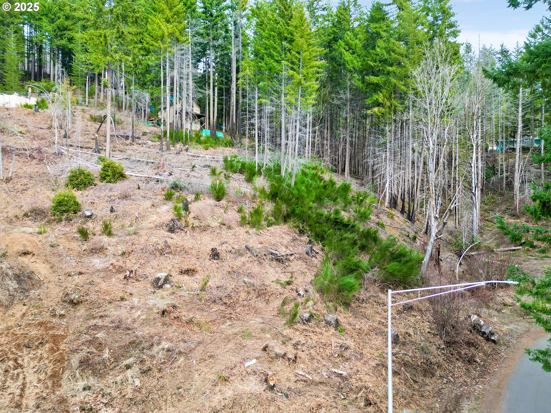 110 Guy Moore Road, Unit 2 Detroit, OR 97342 - Photo 3 of 12 a view of small yard with plants and trees