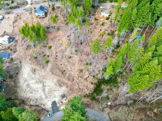 a backyard with plants