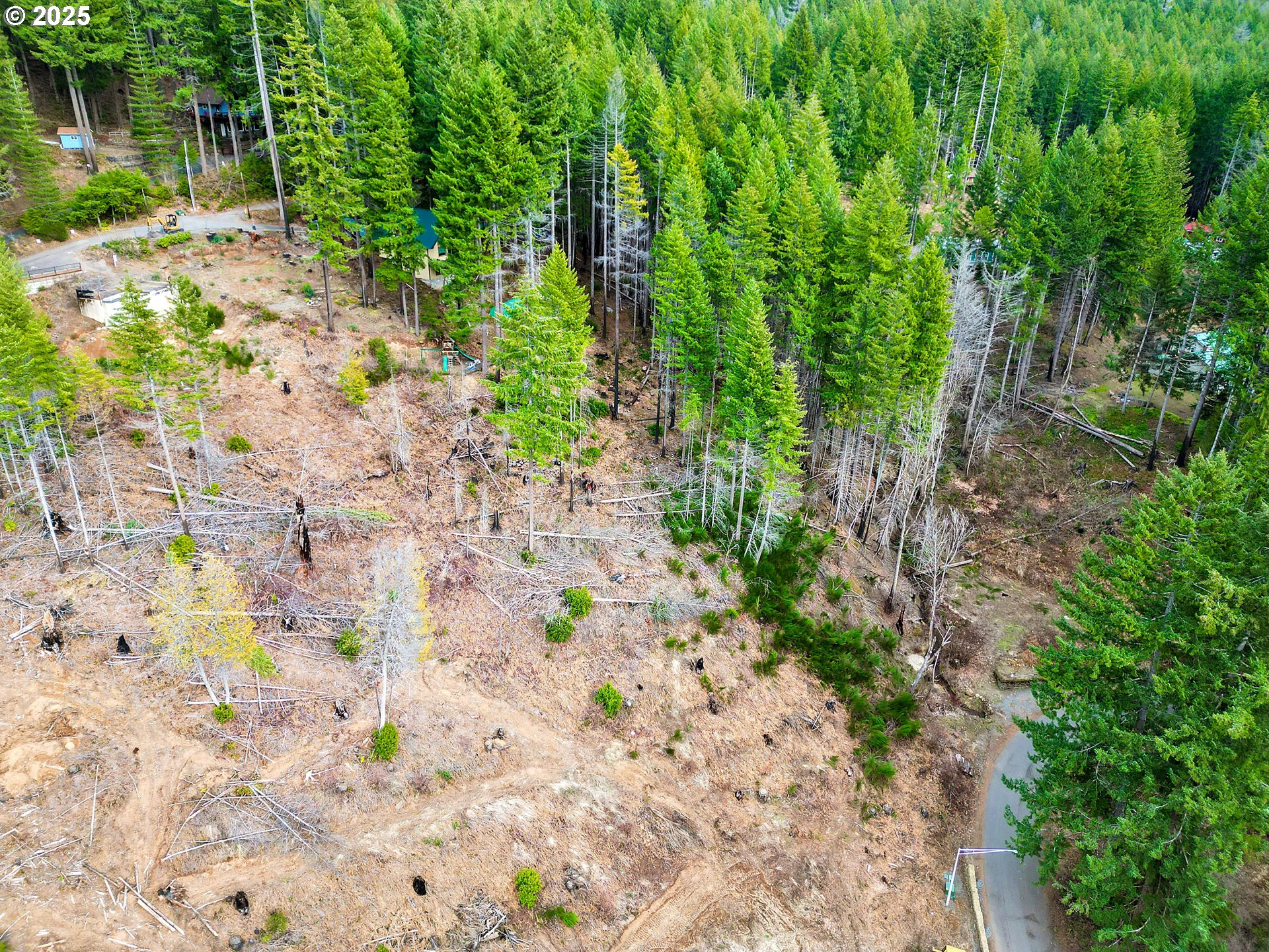 110 Guy Moore Road, Unit 2 Detroit, OR 97342 - Photo 10 of 12 a backyard of a house with lots of green space