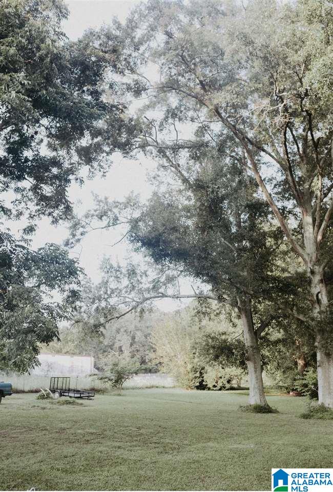 131 Goldridge Road Ranburne, AL 36273 - Photo 5 of 26 Gallery Image 5