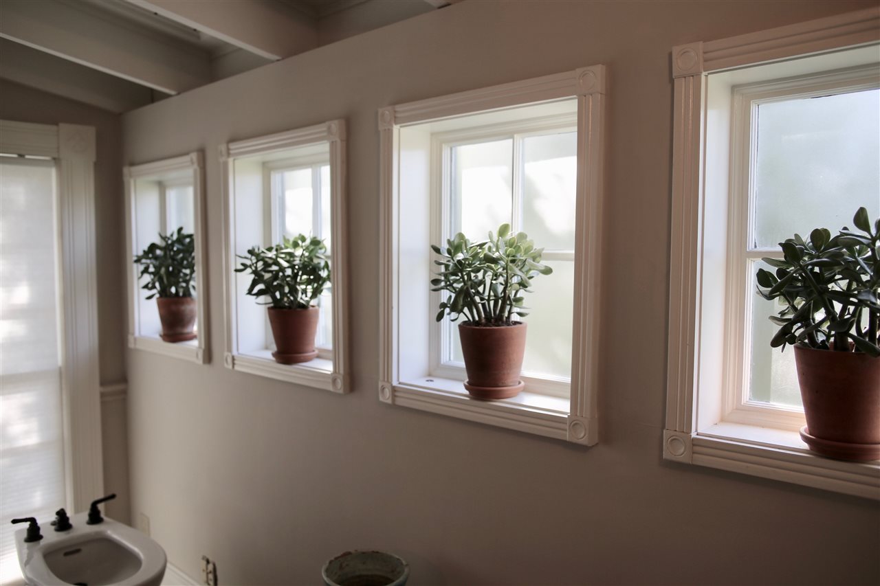 15 Bridge Street St. Augustine, FL 32084 - Photo 27 of 49 a view of a potted plant in a window