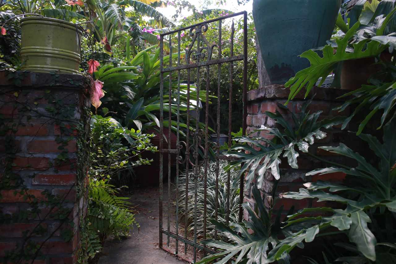 15 Bridge Street St. Augustine, FL 32084 - Photo 44 of 49 a close up of a flower in a garden