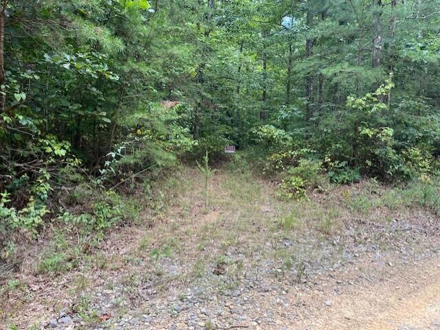 123 Retro Hughes Road Graysville, TN 37338 - Photo 1 of 26 4