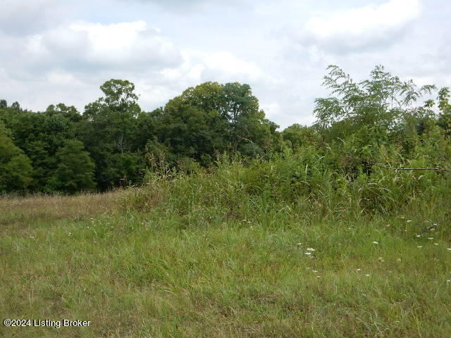 0 Deatsville Road Shepherdsville, KY 40165 - Photo 3 of 5 DSCN8220