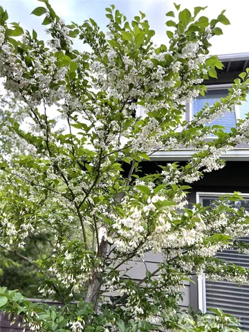 a view of outdoor space and yard