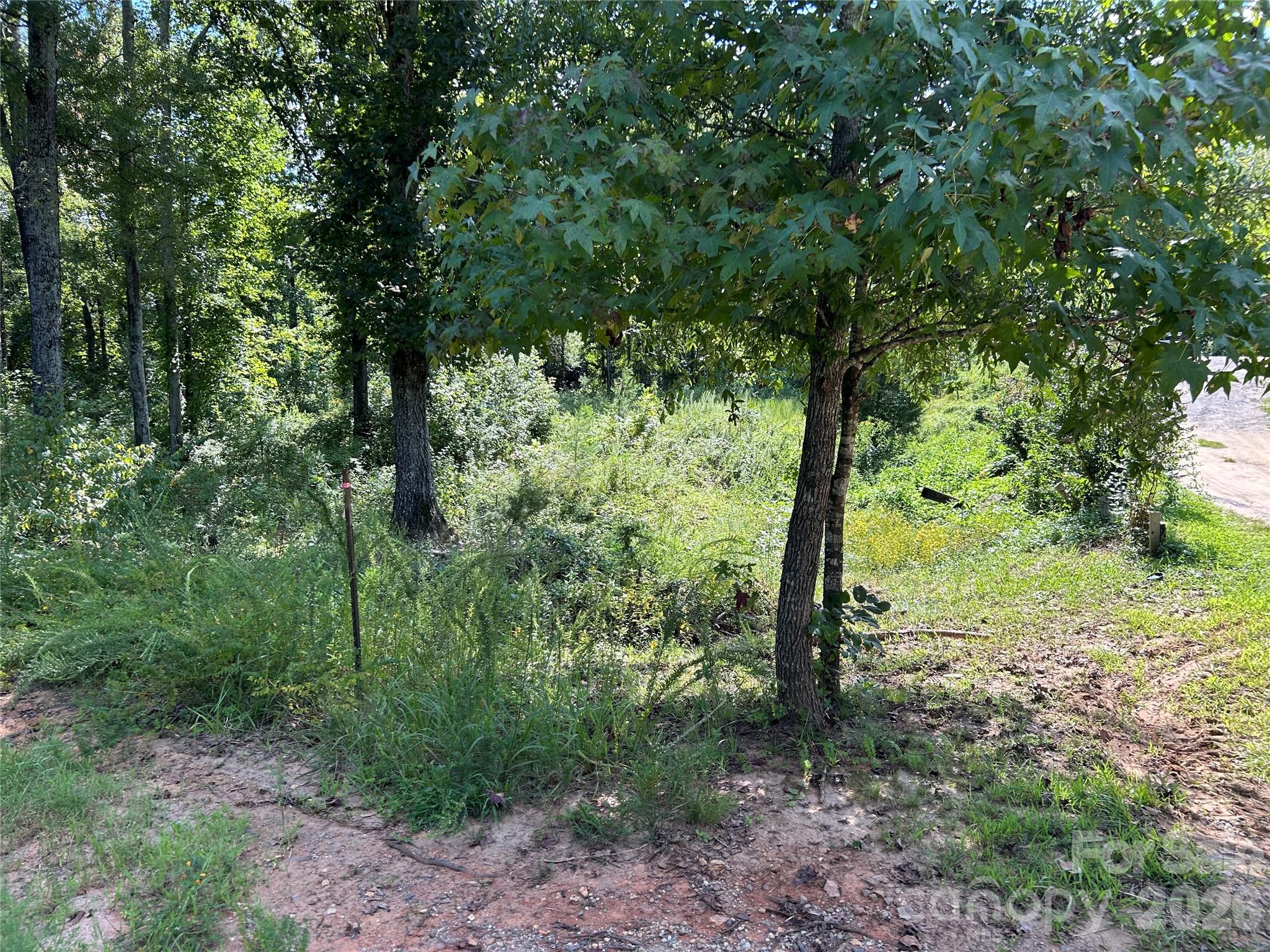 174 Eric Road, Unit 12 Mocksville, NC 27028 - Photo 2 of 3 a view of a forest with trees
