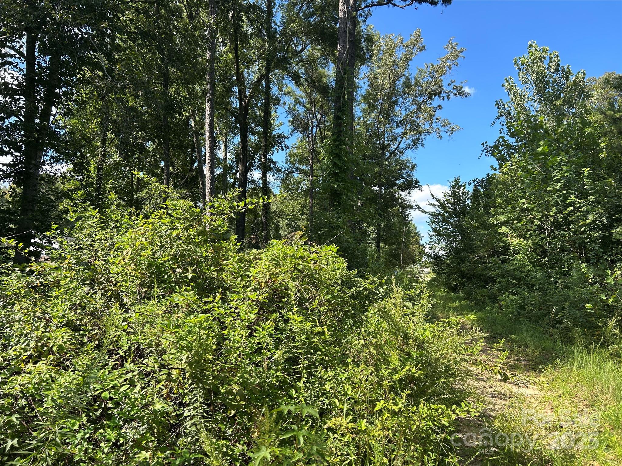 174 Eric Road, Unit 12 Mocksville, NC 27028 - Photo 3 of 3