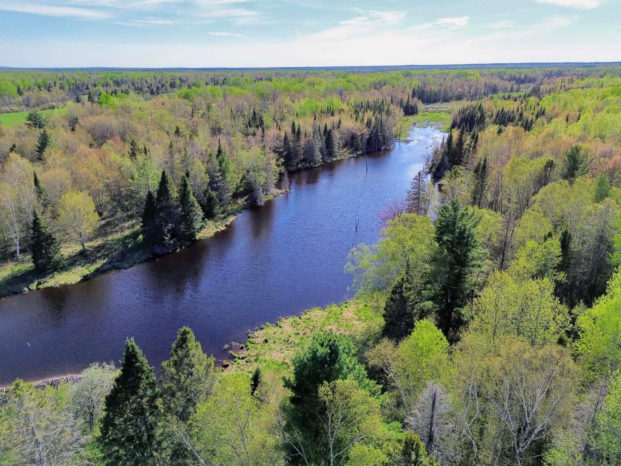 12164 West Irish Line Road Brimley, MI 49715 - Photo 3 of 33 Pond