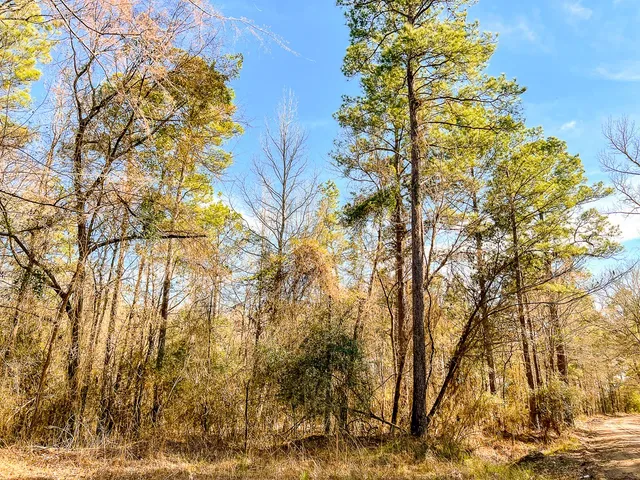 $176,000 | 0 Union Springs Road, Corrigan, TX 75939