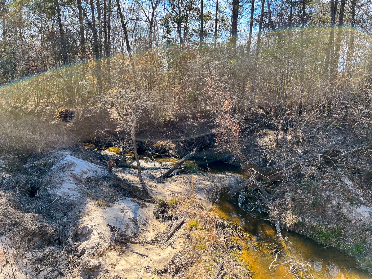 0 Union Springs Road Corrigan, TX 75939 - Photo 9 of 13 a view of swimming pool with a yard