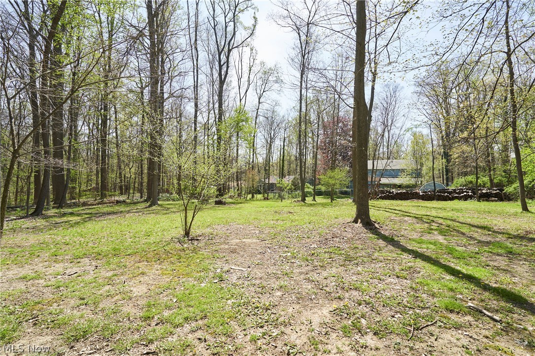 3097 Baughman Road Clinton, OH 44216 - Photo 26 of 27 Expansive wooded lot featuring mature trees and a partially cleared grassy area
