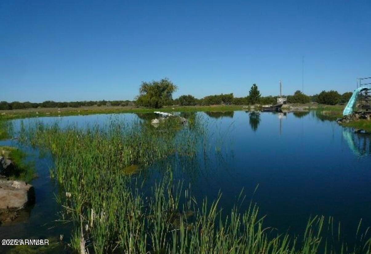 280 County Road Snowflake, AZ 85937 - Photo 45 of 45 Pond back with 1st owner