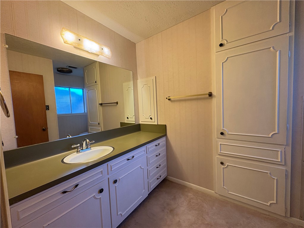 702 Matous Drive Bryan, TX 77802 - Photo 16 of 28 Primary Bathroom with Large Linen Closet and Shower
