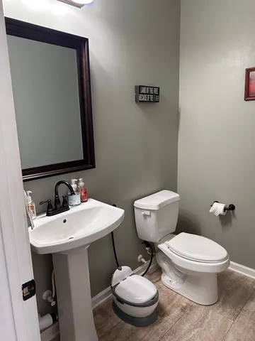 a bathroom with a toilet a sink and mirror