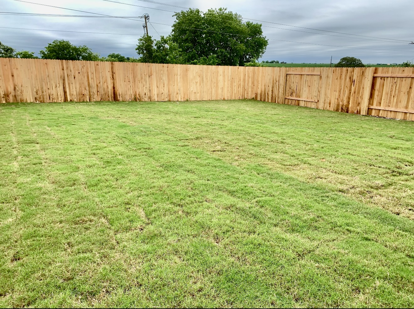 119 Wild Wind Cove Jarrell, TX 76537 - Photo 15 of 16 View of yard