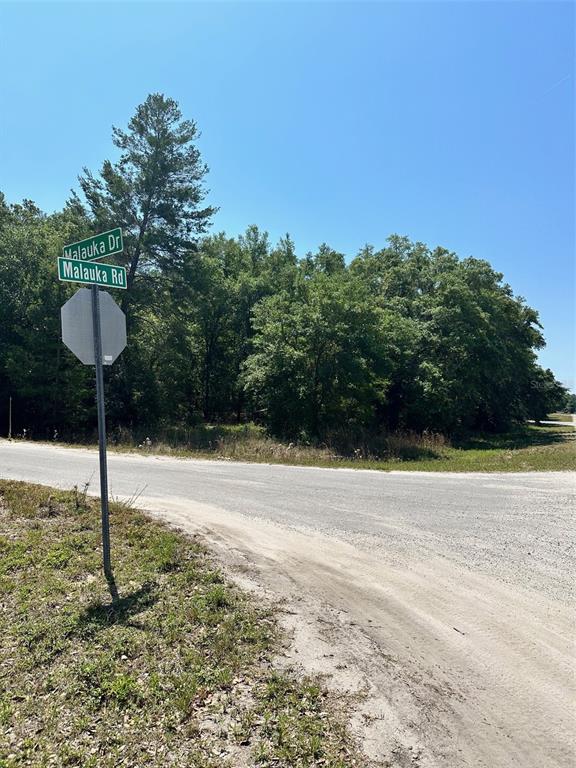Tbd Malauka Road Ocklawaha, FL 32179 - Photo 1 of 1 a backyard of a house