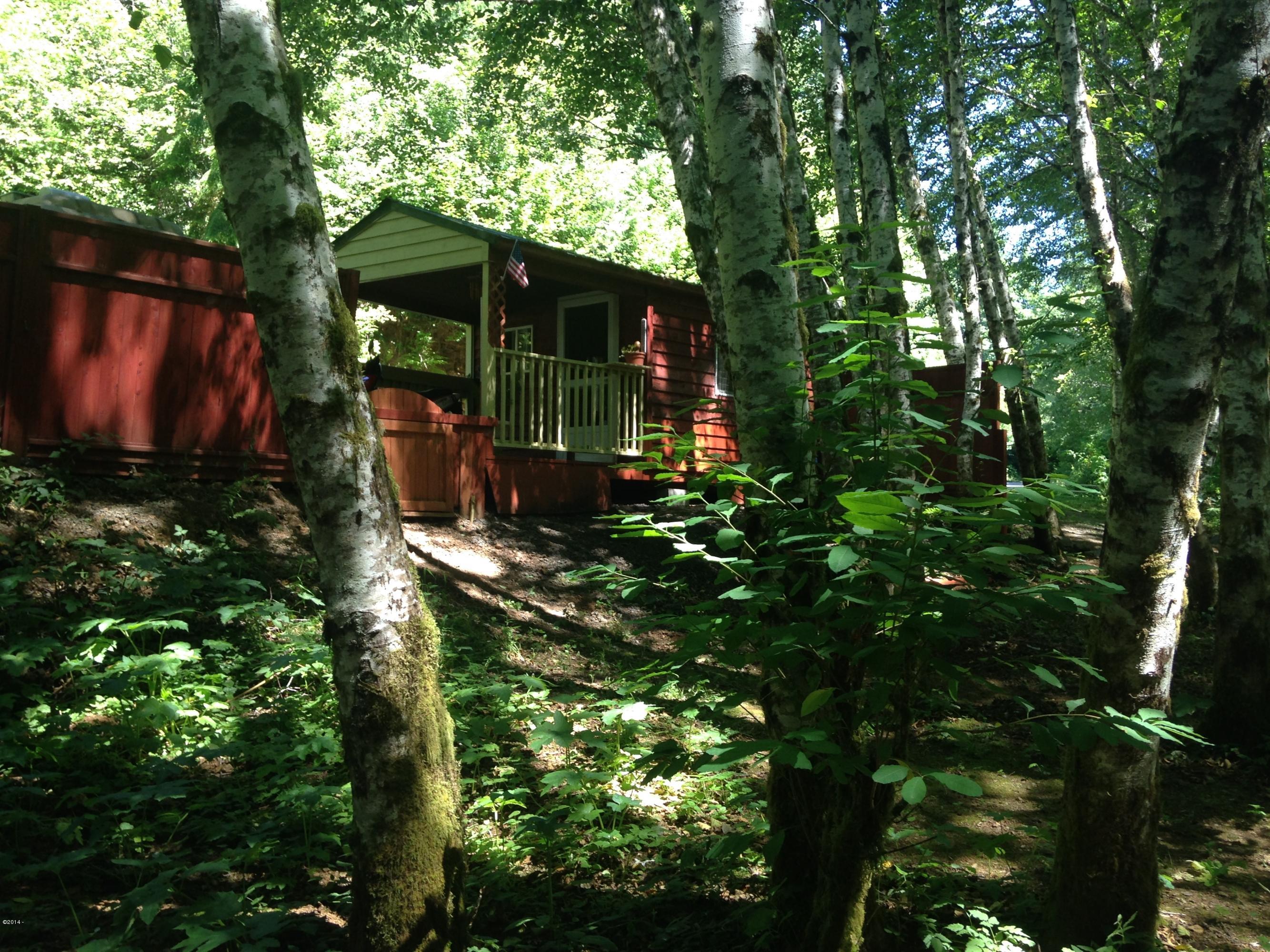 4800 North Panther Creek Road Otis, OR 97368 - Photo 4 of 16 In the Trees