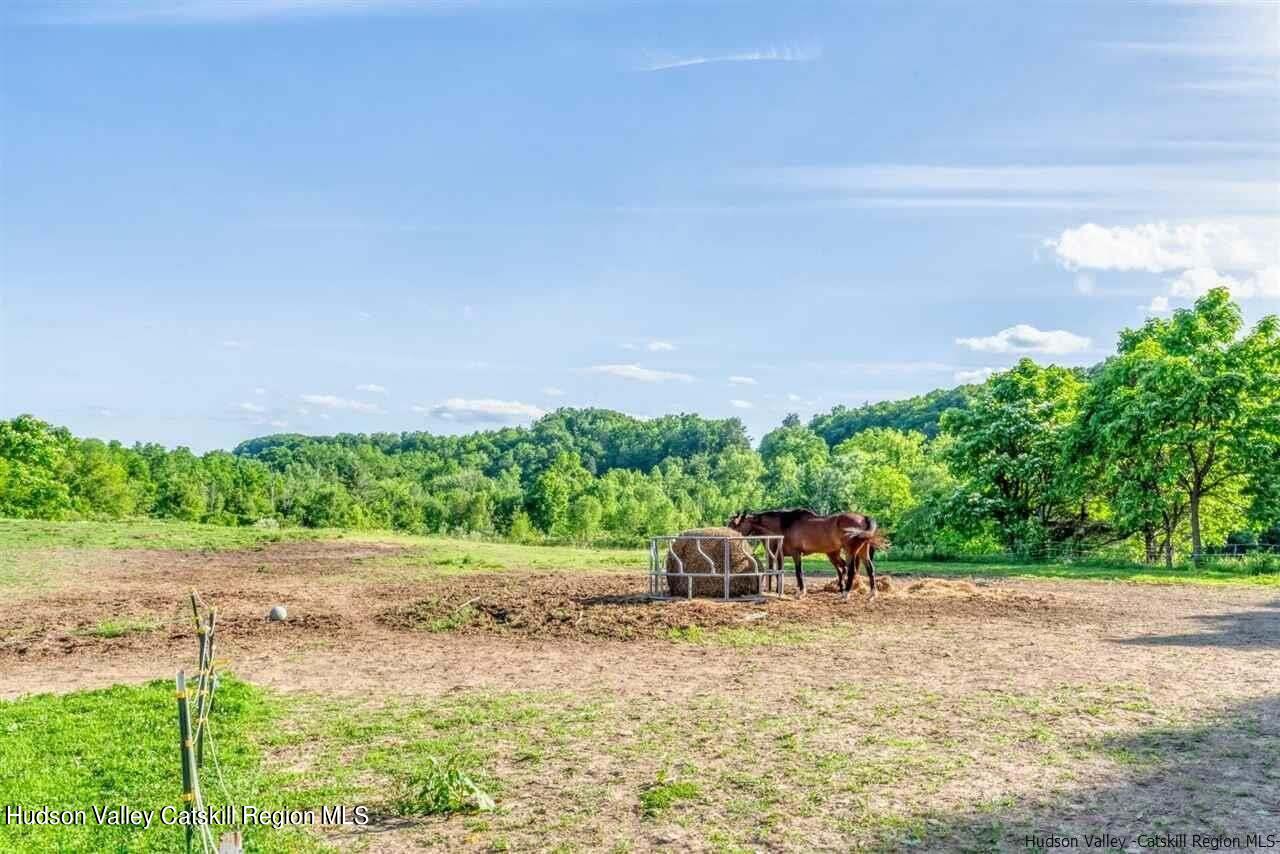 813 Flatbush Road Kingston, NY 12401 - Photo 10 of 26 10