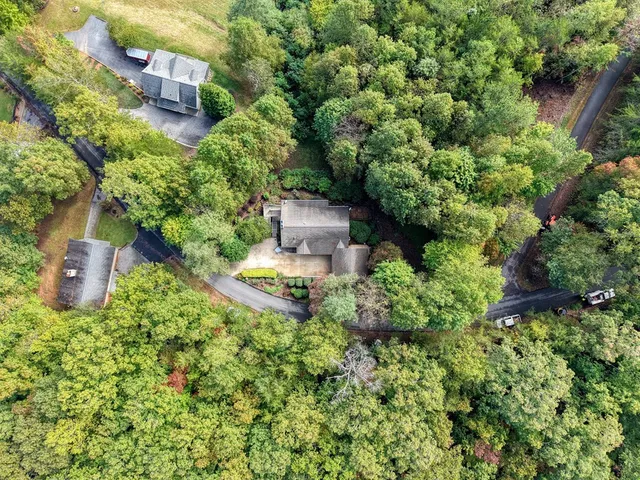 an aerial view of houses covered in trees