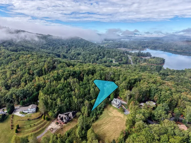 an aerial view of houses covered in trees