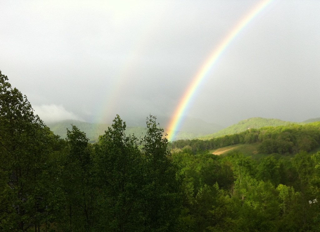 197 Eagles View Road Hayesville, NC 28904 - Photo 49 of 53 a view of a lake with a yard