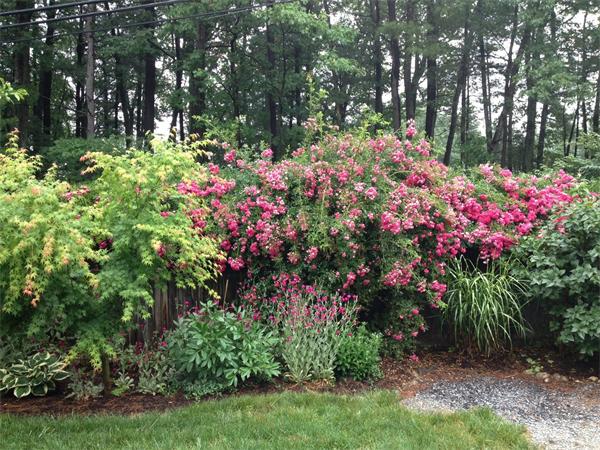 328-330 Great Road Stow, MA 01775 - Photo 15 of 29