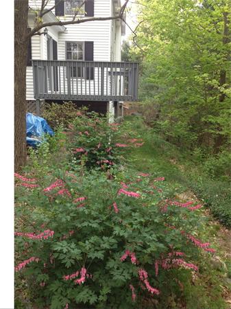 328-330 Great Road Stow, MA 01775 - Photo 3 of 29