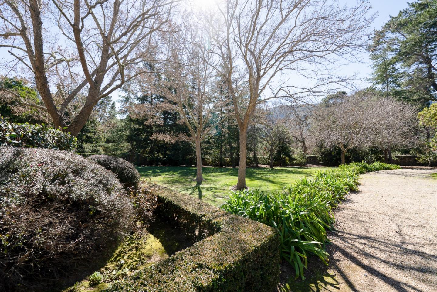 12 Ring Lane Carmel Valley, CA 93924 - Photo 48 of 73 a view of a park with large trees