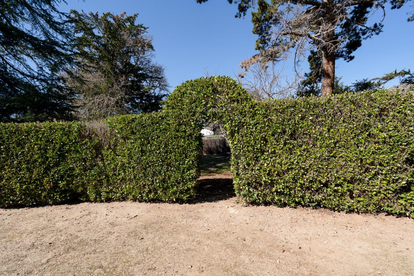 12 Ring Lane Carmel Valley, CA 93924 - Photo 60 of 73 a backyard of a house with lots of green space