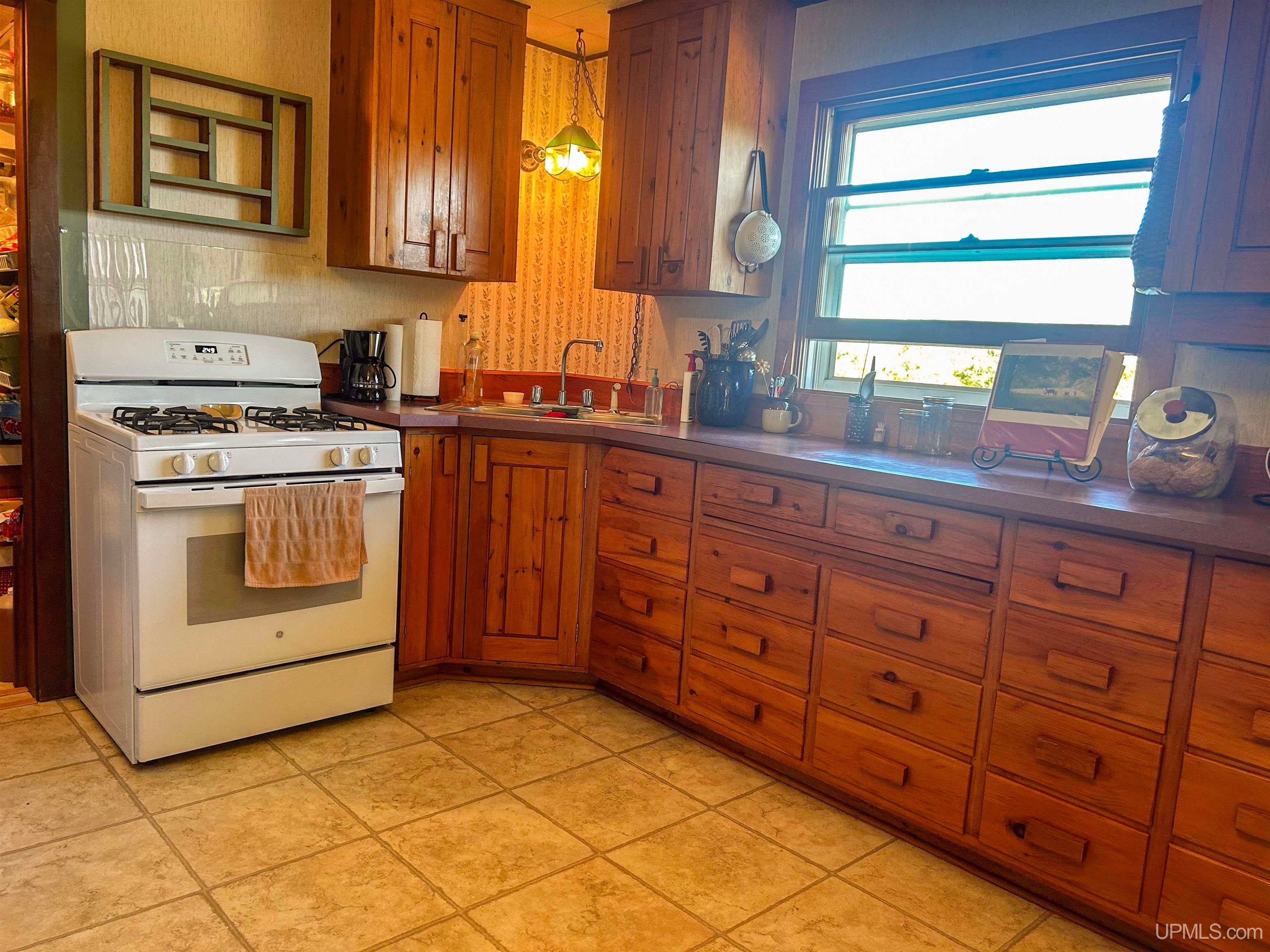 N4750 South Samuelson Road Chatham, MI 49816 - Photo 7 of 63 Gallery Image 7