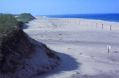 120 Thorne Road Eastham, MA 02642 - Photo 21 of 24 coast guard beach 2
